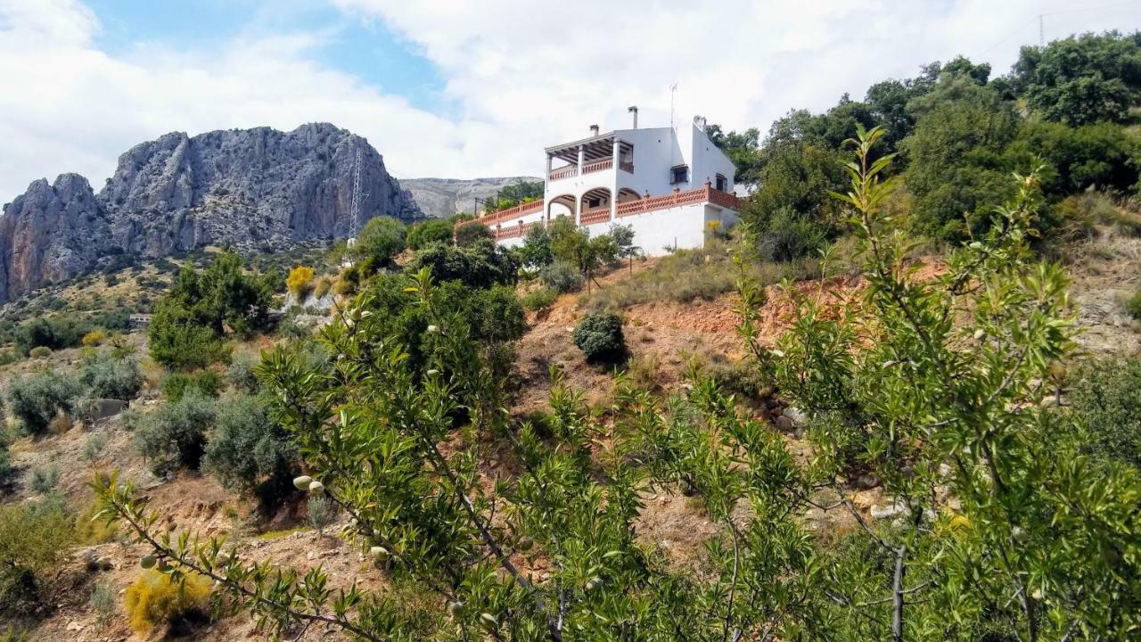 Casa Encina - Encinasola Turismo Rural. Álora Eksteriør billede