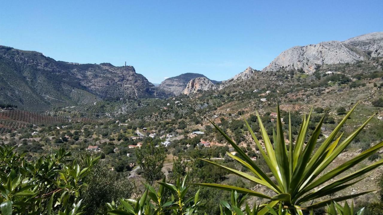 Casa Encina - Encinasola Turismo Rural. Álora Eksteriør billede