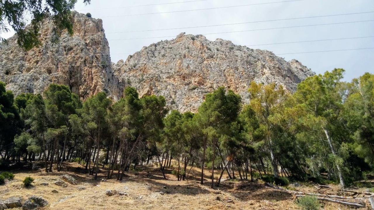 Casa Encina - Encinasola Turismo Rural. Álora Eksteriør billede