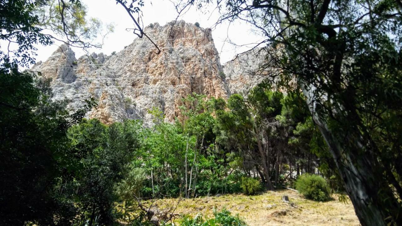 Casa Encina - Encinasola Turismo Rural. Álora Eksteriør billede